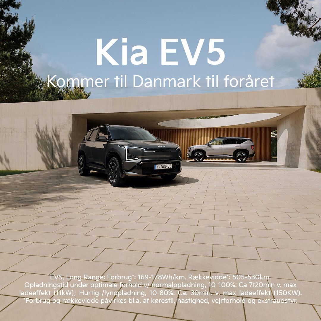 some-ev5-1080x10802 (1)