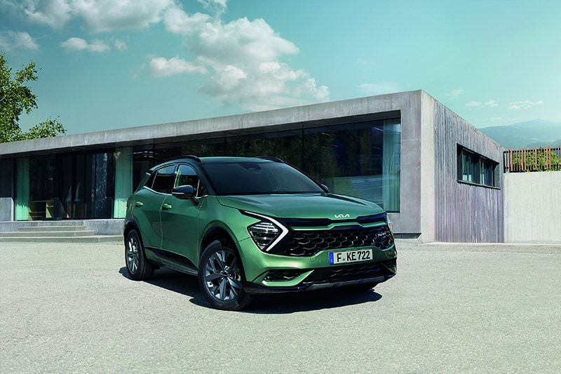 nysportage nysportage